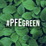 PFE Green: il “Progetto CAM”, vision e metodo di lavoro sostenibile
