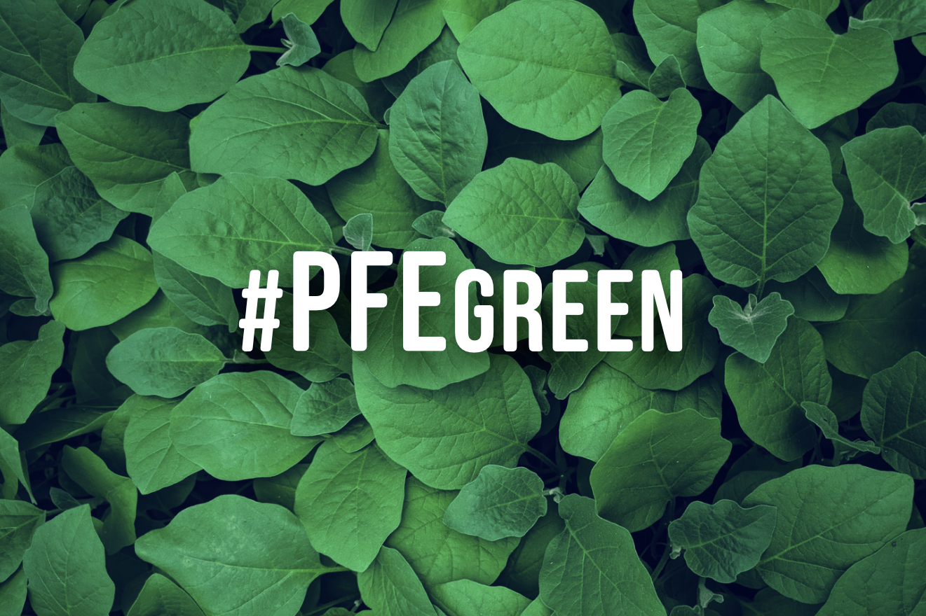 PFE Green: il “Progetto CAM”, vision e metodo di lavoro sostenibile